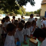 0 713 másolata